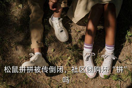 松鼠拼拼被傳倒閉，社區團購還“拼”嗎