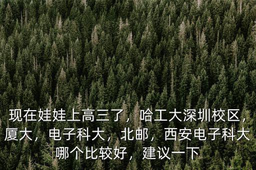 成都怎么看電子科大深圳校區(qū),哈工大深圳校區(qū)