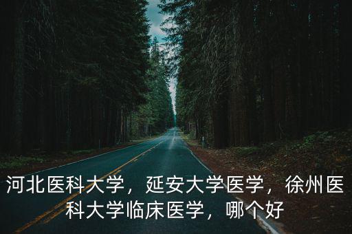 河北醫(yī)科大學(xué)，延安大學(xué)醫(yī)學(xué)，徐州醫(yī)科大學(xué)臨床醫(yī)學(xué)，哪個(gè)好
