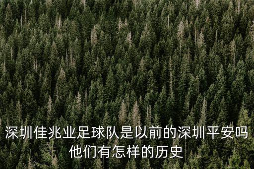 深圳佳兆業(yè)足球隊(duì)是以前的深圳平安嗎他們有怎樣的歷史
