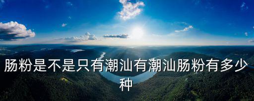 佛山南莊哪里有潮汕口味腸粉,潮汕腸粉有多少種