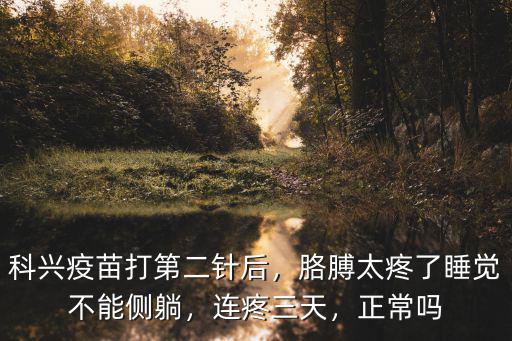 中山市哪里有北京科興中維疫苗打,科興疫苗打第二針后