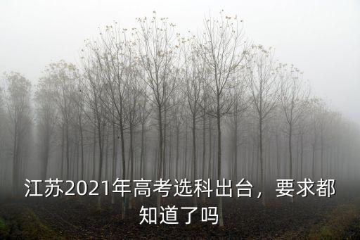 江蘇2021高考適應(yīng)性考試有多少人,不參加新高考適應(yīng)性考試