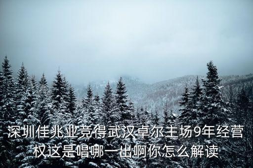 深圳佳兆業公司在深圳哪里,多納多尼出任深圳佳兆業主帥