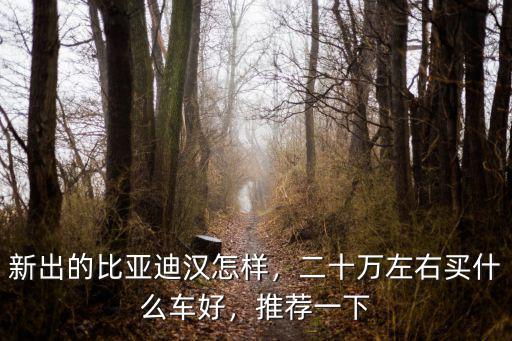 新出的比亞迪漢怎樣，二十萬左右買什么車好，推薦一下