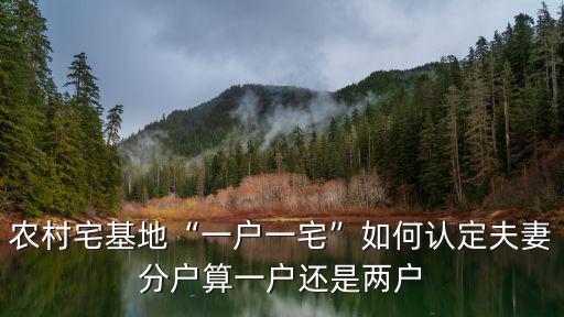 廣東農村一戶一宅怎么申請,農村宅基地一戶一宅如何認定