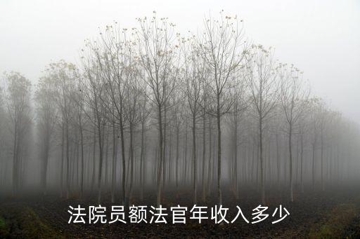 法院員額法官年收入多少