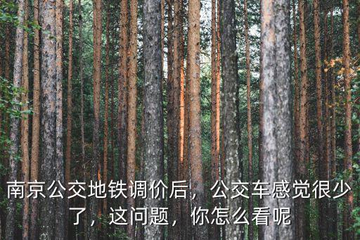 南京地鐵里多少錢一趟,南京公交地鐵調價后