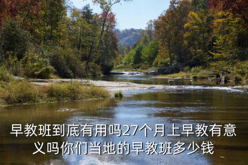 早教班到底有用嗎27個(gè)月上早教有意義嗎你們當(dāng)?shù)氐脑缃贪喽嗌馘X