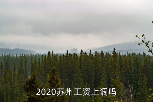 2020蘇州工資上調嗎