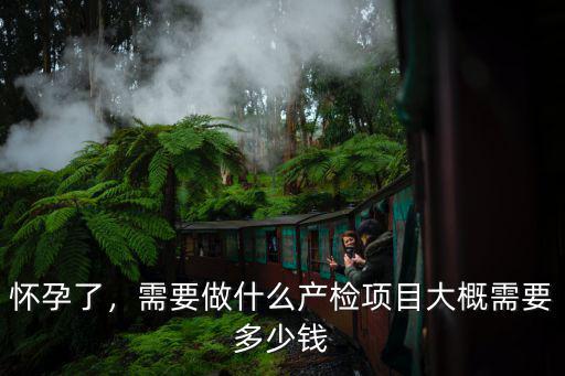 鎮江懷孕建卡多少費用多少,懷孕三個月去產檢會花多少
