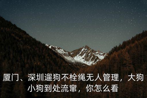 廈門、深圳遛狗不栓繩無人管理，大狗小狗到處流竄，你怎么看