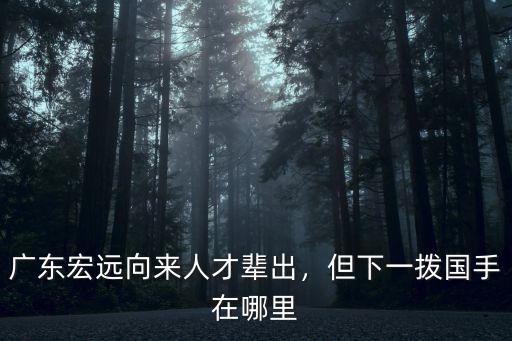 廣東宏遠張昊來自哪里,廣東宏遠向來人才輩出