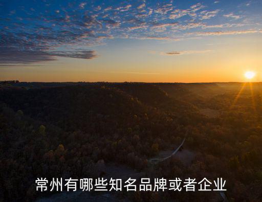 常州有哪些知名品牌或者企業(yè)