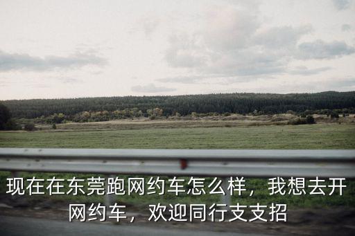 現(xiàn)在在東莞跑網(wǎng)約車(chē)怎么樣，我想去開(kāi)網(wǎng)約車(chē)，歡迎同行支支招
