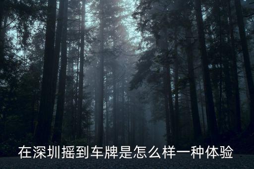 國(guó)五排量車搖到深圳牌怎么辦,朋友搖到深圳牌