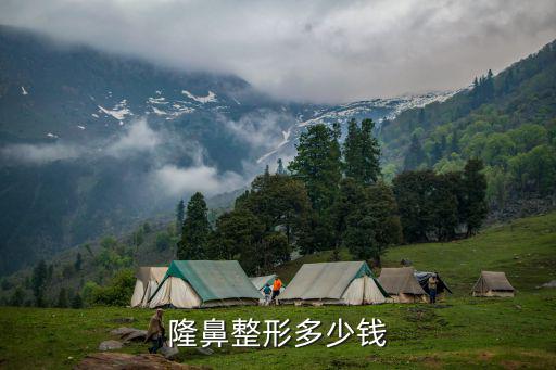 隆鼻整形多少錢