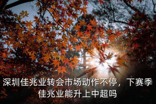 深圳佳兆業(yè)轉(zhuǎn)會(huì)市場(chǎng)動(dòng)作不停，下賽季佳兆業(yè)能升上中超嗎