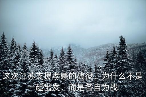 這次江蘇支援孝感的戰(zhàn)役，為什么不是一起出發(fā)，而是各自為戰(zhàn)
