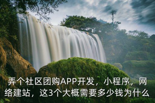 弄個社區(qū)團購APP開發(fā)，小程序，網絡建站，這3個大概需要多少錢為什么