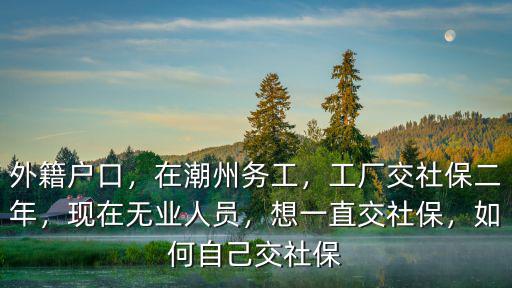 外籍人在潮州工廠交社保怎么交,工廠交社保二年