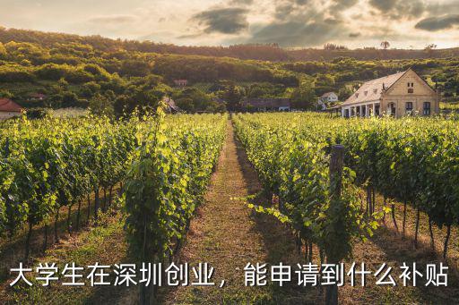 深圳學(xué)生補(bǔ)貼怎么辦理,大學(xué)生在深圳創(chuàng)業(yè)