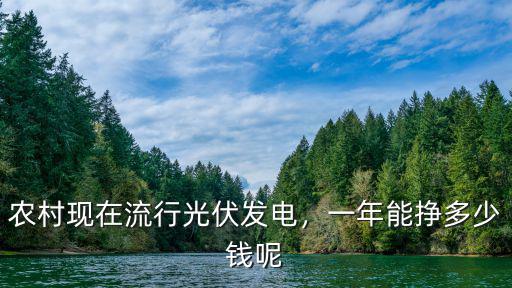 農村現在流行光伏發電，一年能掙多少錢呢