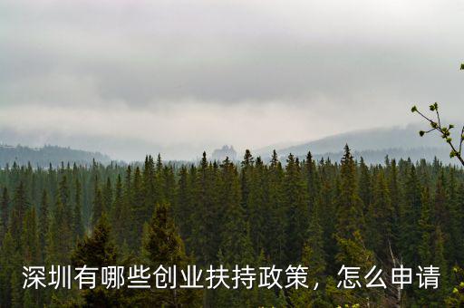 深圳有哪些創業扶持政策，怎么申請