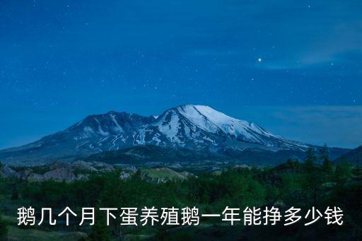 揚州鵝蛋多少錢,養殖鵝一年能掙多少錢