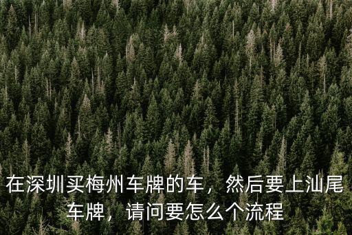 汕尾車管所上牌怎么約,然后要上汕尾車牌