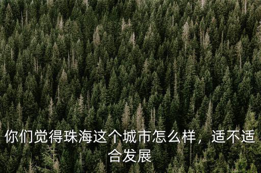 你們覺得珠海這個城市怎么樣，適不適合發展