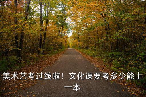 江蘇美術生要考多少分才能上一本,文化課要考多少能上一本