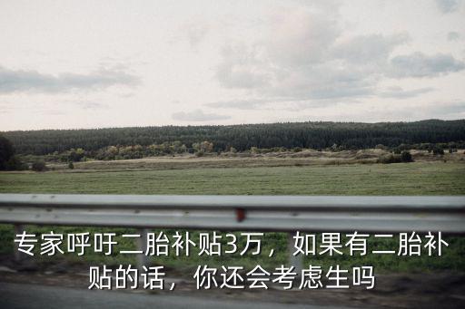 專家呼吁二胎補貼3萬，如果有二胎補貼的話，你還會考慮生嗎