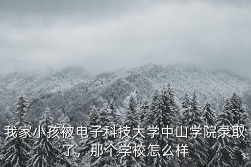 中山聚匯電子怎么樣,中山電子科技大學怎么樣