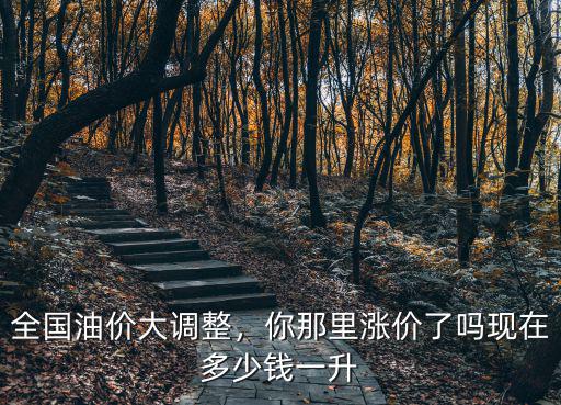 現在江蘇油價92多少錢一升,現在多少錢一升