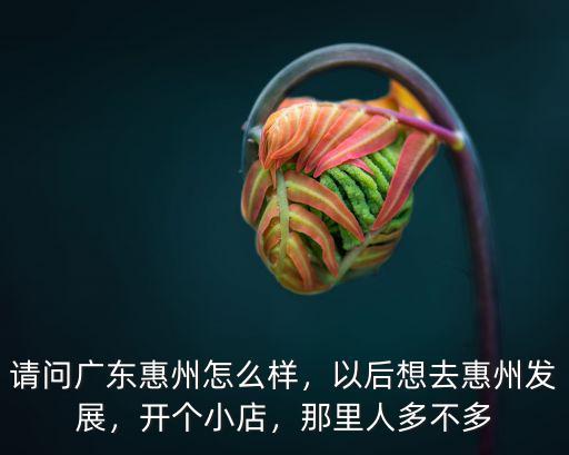 請問廣東惠州怎么樣，以后想去惠州發展，開個小店，那里人多不多
