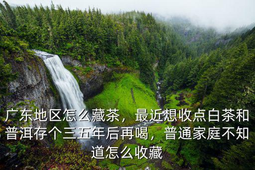 廣東地區怎么藏茶，最近想收點白茶和普洱存個三五年后再喝，普通家庭不知道怎么收藏