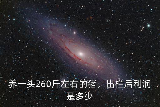 徐州養豬一頭利潤多少,養一頭豬的利潤是多少