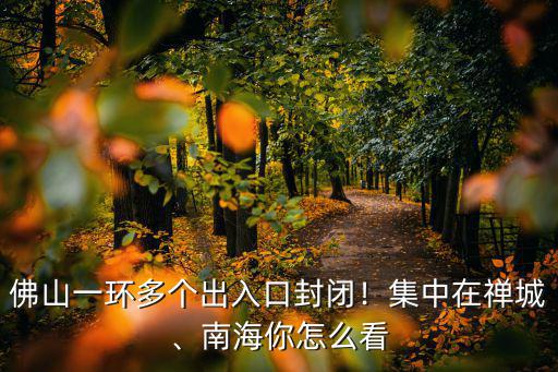 國家怎么看佛山一環,佛山一環多個出入口封閉