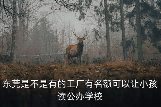 東莞企業入公辦學校 怎么辦理,現在就讀東莞公辦小學四年級