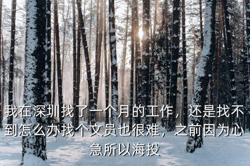 我在深圳找了一個月的工作，還是找不到怎么辦找個文員也很難，之前因為心急所以海投