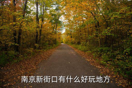 南京新街口有多少商鋪,南京新街口有什么好玩地方