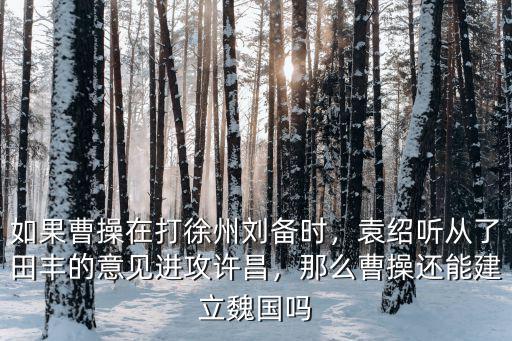 如果曹操在打徐州劉備時(shí)，袁紹聽從了田豐的意見進(jìn)攻許昌，那么曹操還能建立魏國(guó)嗎