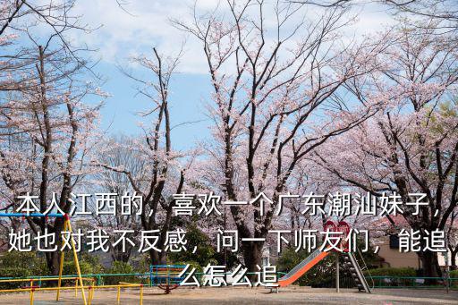 本人江西的，喜歡一個廣東潮汕妹子，她也對我不反感，問一下師友們，能追么怎么追