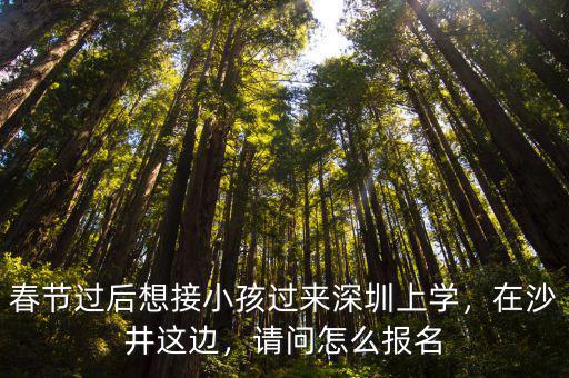 深圳的小學(xué)生怎么報(bào)名,小孩能在深圳上小學(xué)嗎