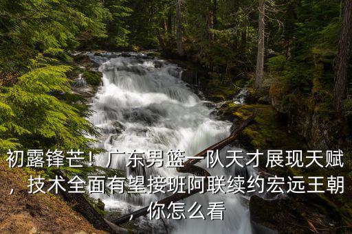 廣東宏遠天賦怎么樣,廣東宏遠舊將不走了