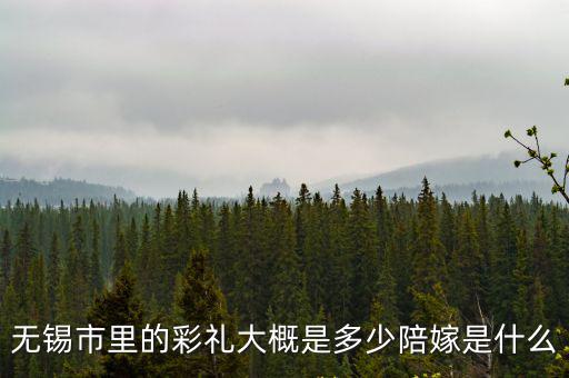 無錫市里的彩禮大概是多少陪嫁是什么