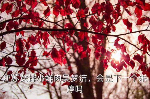 江蘇女排小鮮肉吳夢潔，會是下一個朱婷嗎