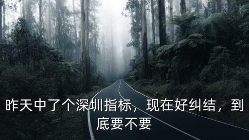 深圳搖號中簽了怎么做,昨天中了個深圳指標