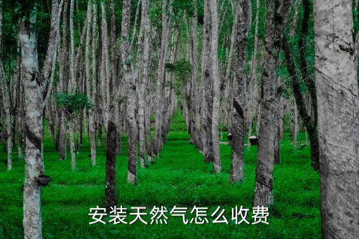 淮安燃氣安裝費用多少,費用3600一戶